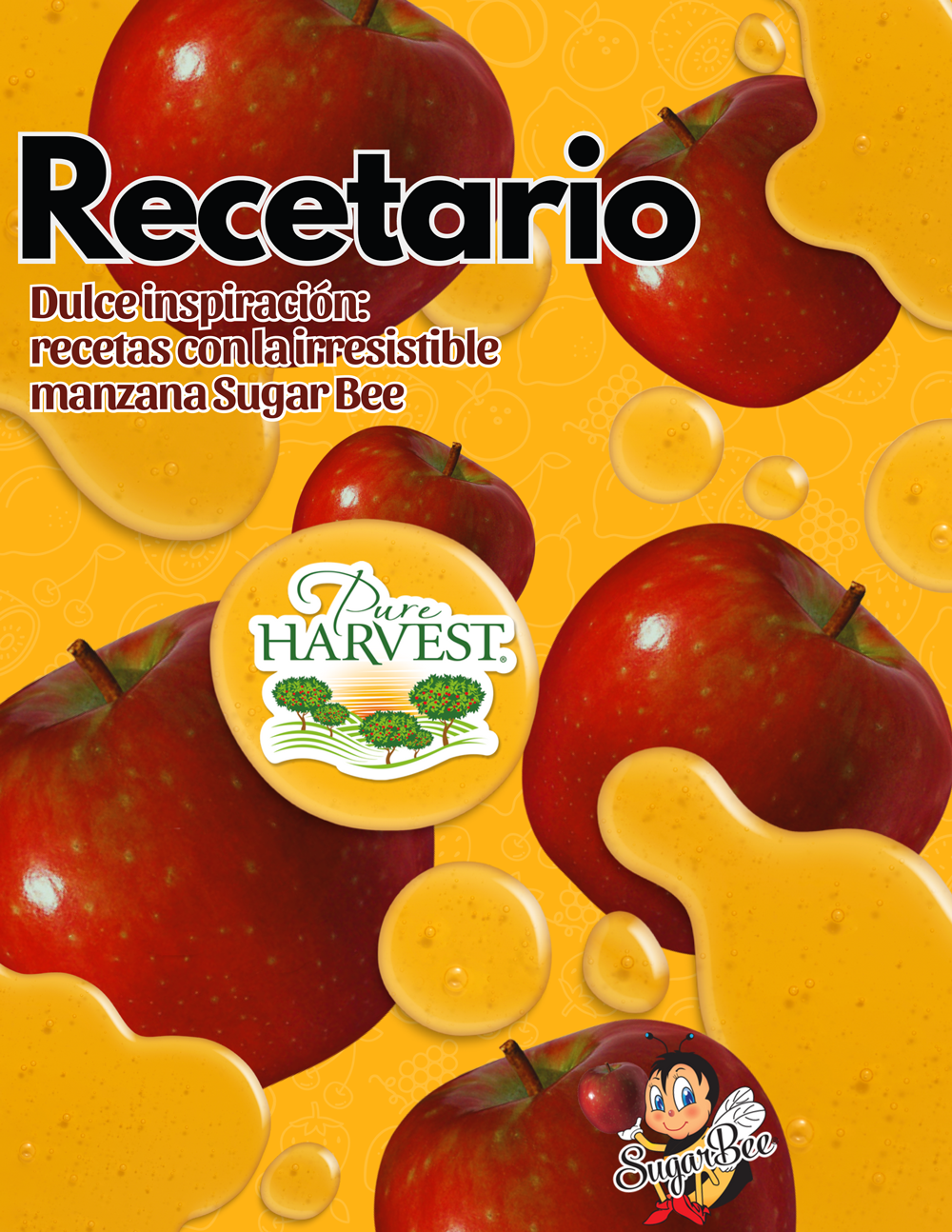 SB_Mexico_RecipeBook_WebCallout