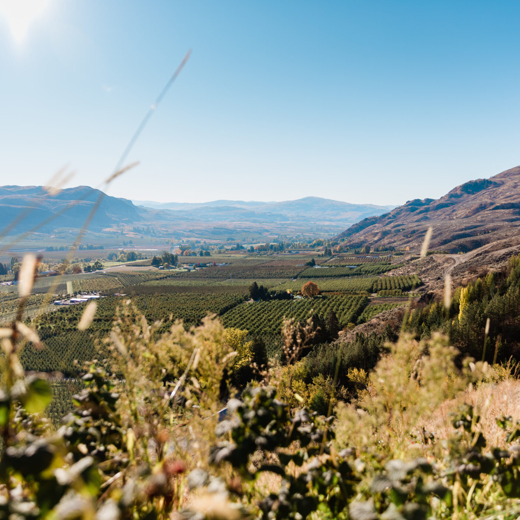 ChelanFresh-20201022-369A4967